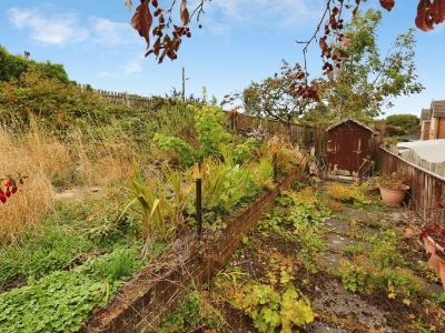 Picture 13